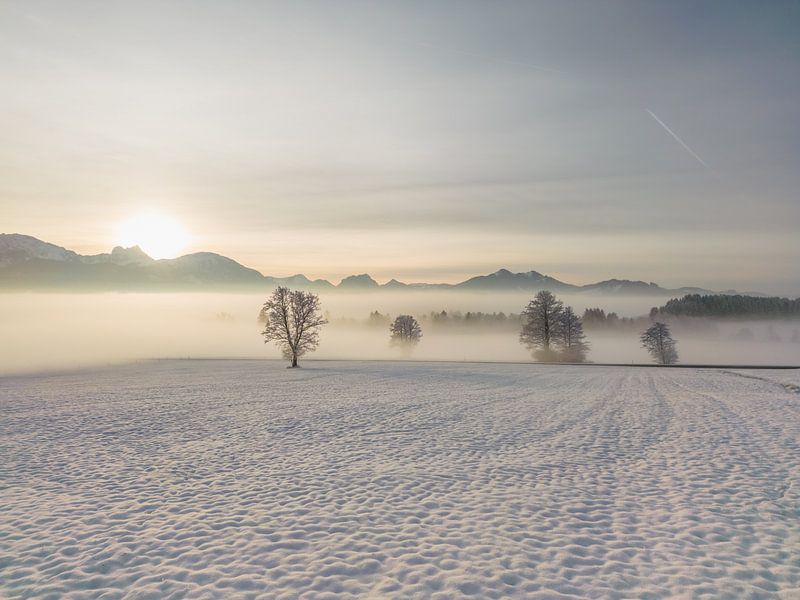 Winter landscape with snow by Mustafa Kurnaz