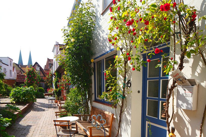 Rose Corridor, Old Town, Lübeck, Schleswig-Holstein by Torsten Krüger
