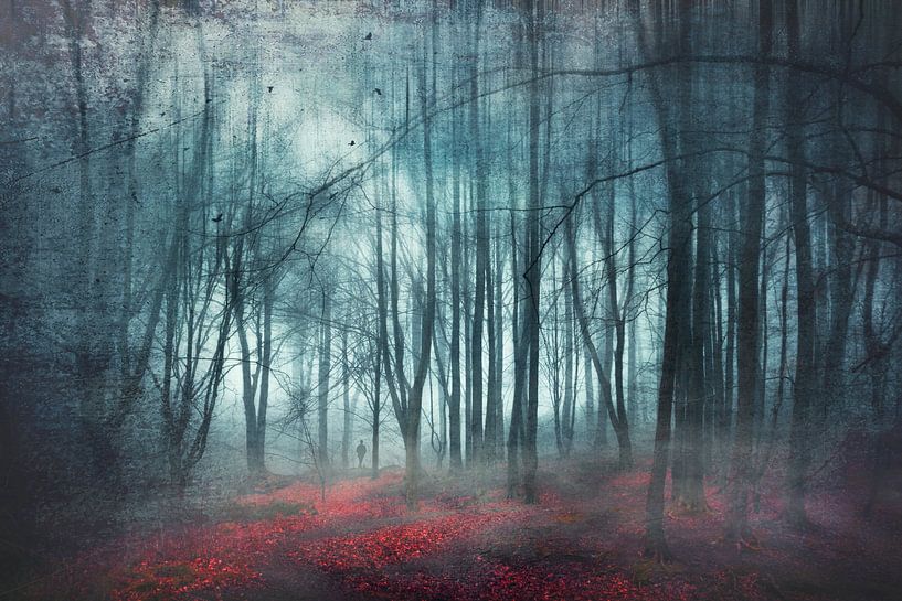 Forêt mystique dans la brume par Dirk Wüstenhagen
