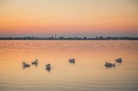 Zonsondergang met uitzicht op Zeewolde