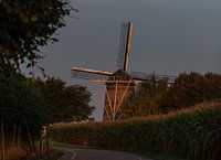 In the morning light Van Tienhoven mill, Wolfshuis, Bemelen, South Limburg