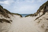 Way through the dunes / To the end of the world