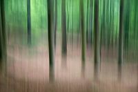 Arbres en mouvement - printemps 2018 - 3