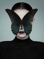 Schwarzer Schmetterling