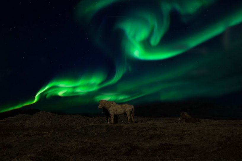 Aurora Borealis in Island, Nordlichter von Gert Hilbink