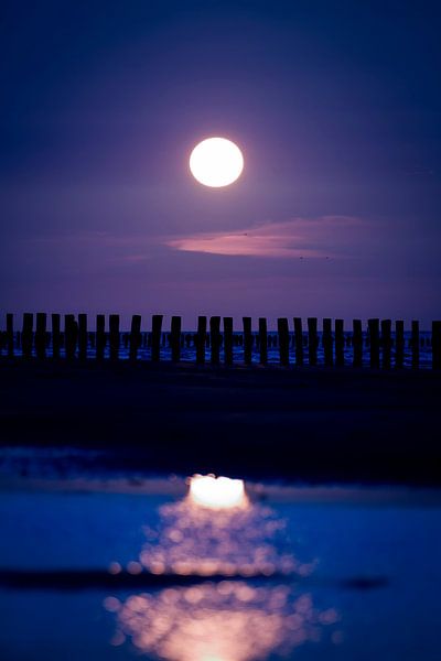 Vollmond am Meer von Els Vercauteren