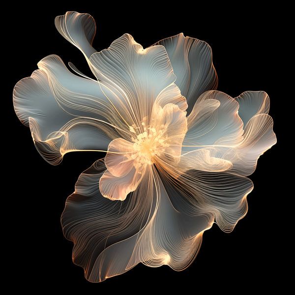 Graceful and translucent by Black Coffee