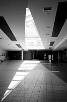 Lines of Ellis Island