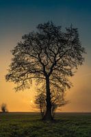 Sanfte und unbestimmte Farben der Dämmerung