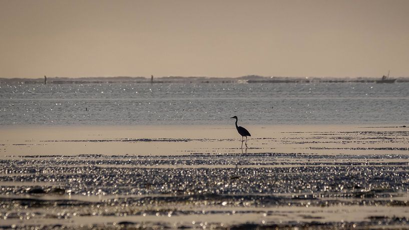 Lone heron. by Willeke van Vulpen