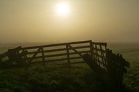 Mistig hek in de polder