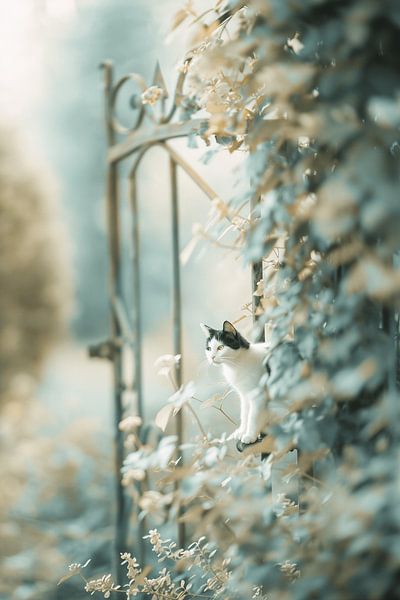 Soothing Kat|in the Garden | A Visual Poem by Karina Brouwer
