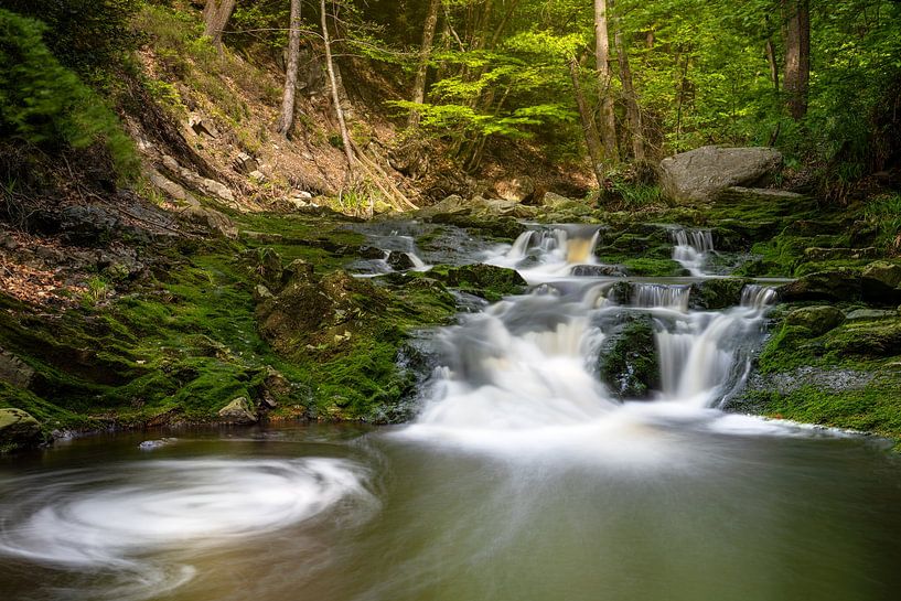 Hoëgne Valley, High Fens, Belgium by Alexander Ludwig