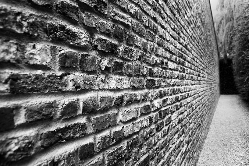 Perspectief von HANS VAN DAM