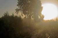 Engbertsdijksvenen 6