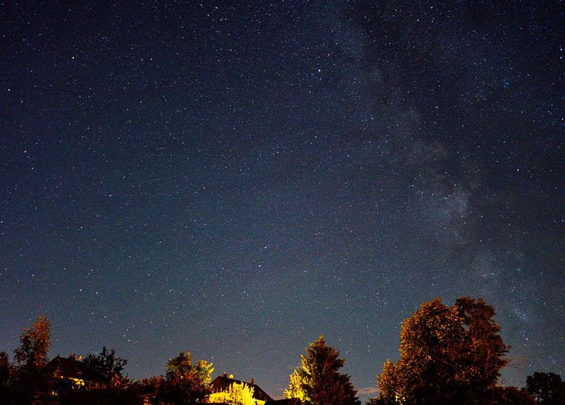 Night sky with stars and trees by Animaflora PicsStock