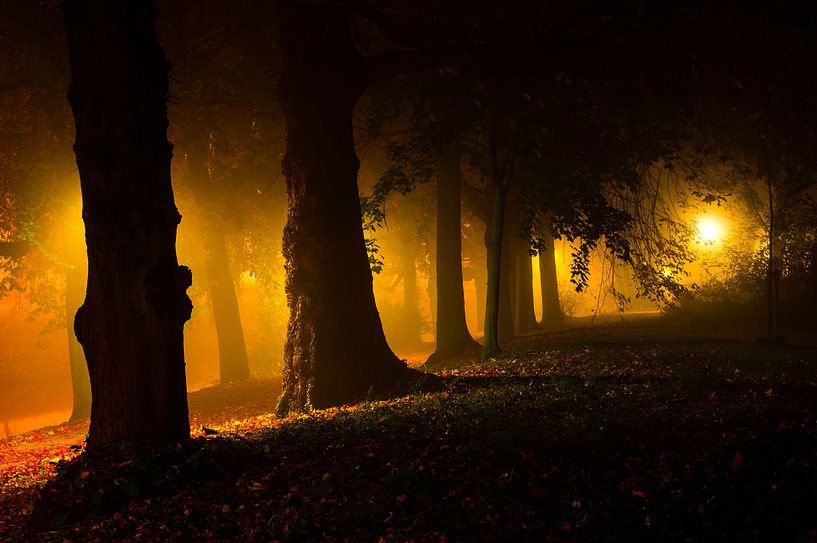 The dark side by Tvurk Photography