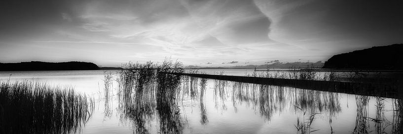 Insel Rügen am großen Bodden in schwarzweiss . von Manfred Voss, Schwarz-weiss Fotografie