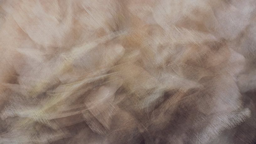 abstrakter Blumendruck von eric van der eijk