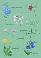 Frühling Blumen Schule Platte