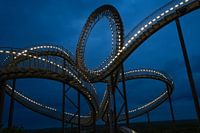 Tiger & Turtle zur blauen Stunde