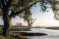 River landscape IJssel