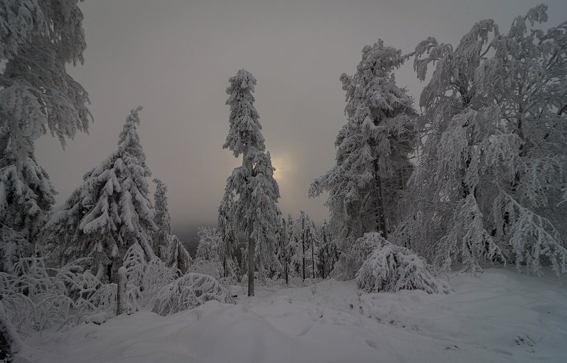 Altkönig / Taunus von Freedom Streaming Photography