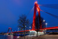 Willemsbrug - Blaue Stunde - Rotterdam