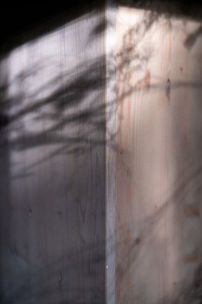 Schaduwen op een kast , Stille geometrie in licht en donker van Karin van Bylevelt