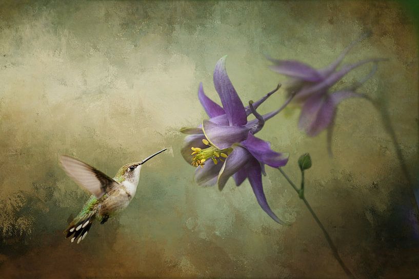Kolibri mit violetter Blüte und grünem Hintergrund von Diana van Tankeren