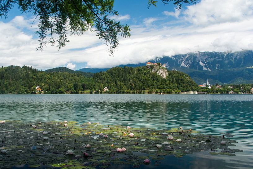 Lake Bled Slovenia by Jaco Visser