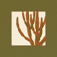 cactus (euphorbia ammak) tree