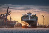 Fotografie Hamburg Architektur - Hafen mit Containerschiff in Hamburg