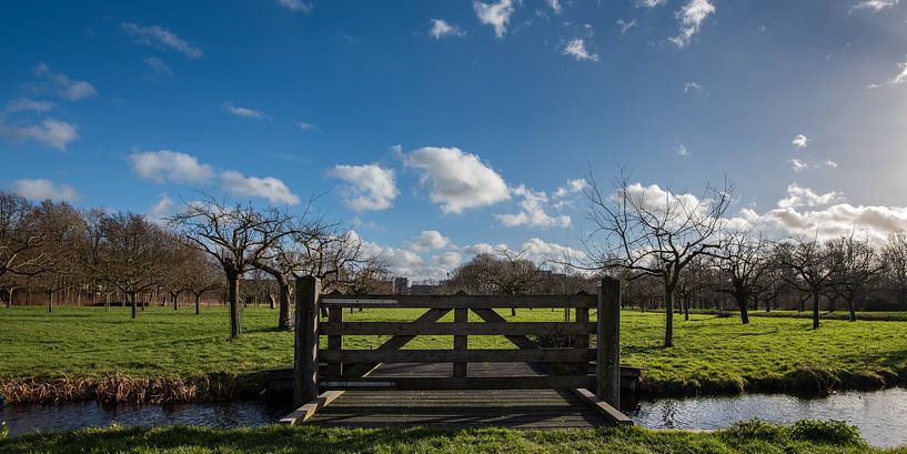 Schöner bewölkter Himmel über dem Obstgarten in Bredius, Woerden von John Verbruggen