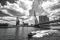 Watertaxi underneath the Erasmusbridge with the Rotterdam on the background. 