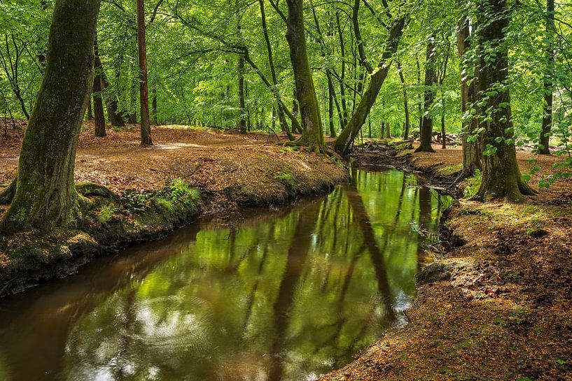 Leuvenumse Bos mit Hierdensche Beek von Eugene Winthagen