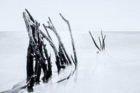 Draußen auf dem Meer