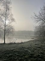 Misty Lake