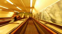 Rotterdam Maastunnel warp speed