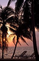 Sunset in the tropics