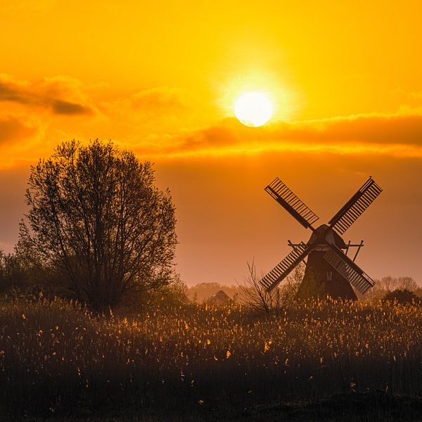 Sonnenaufgang an der Noordermolen von Henk Meijer Photography