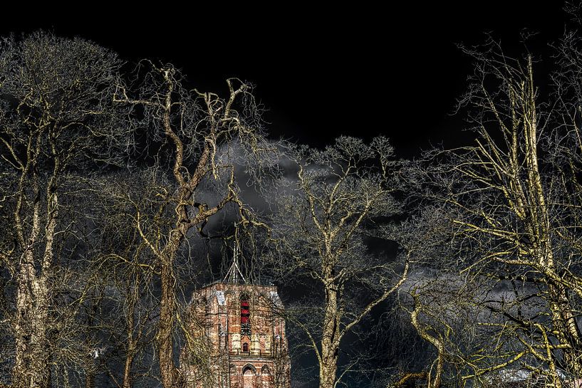 L'Oldehove de Leeuwarden sous le soleil de février avec des arbres au premier plan par Harrie Muis