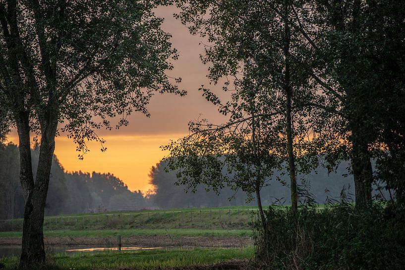 Morgenlicht 2 von Maurice Looyestein