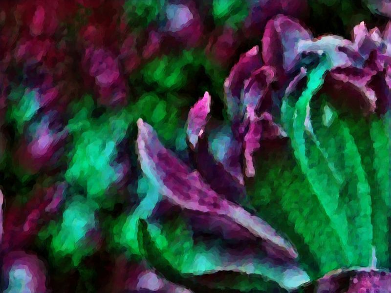 Magnolia 1 by Greta Lipman