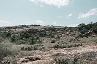Das Wandergebiet in einem Nationalpark