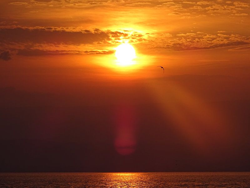 Coucher de soleil au lac de Genève par Boy Kusters