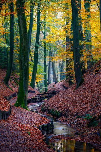 Domaine de Beekhuizen par Mario Visser
