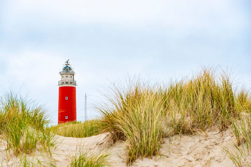 Der Leuchtturm von Texel von den Dünen aus. von Ron van der Stappen
