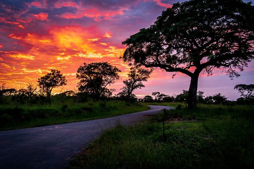 Sunrise in Umflozi Game reserve, South Africa by Rob Reedijk