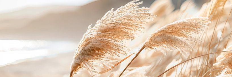 Poesie am Meer – Pampasgras an der Küste von Melanie Viola